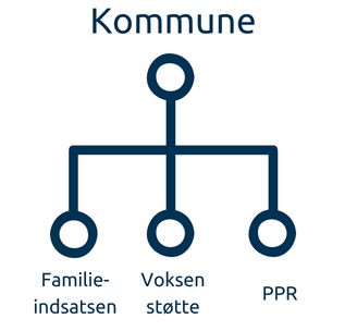 Flowchart der viser kommunen, som har gren til familieindsatsen, voksenstøtte og ppr