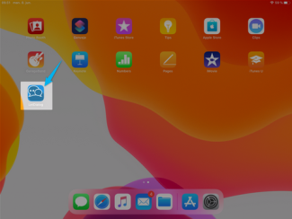 Hjemmeskærm på iPad med LetDialog i fokus