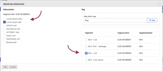 Vælgs sagstitel og evt enkelte dokumenter